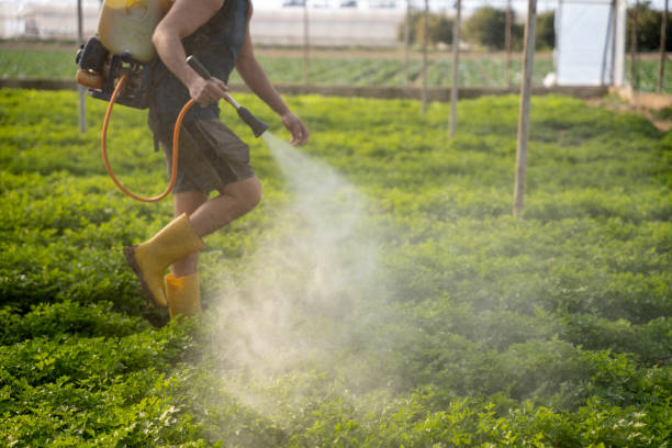 Best Local Pest Control Services  in Hazel Dell, WA