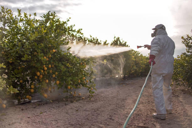 Trusted Hazel Dell, WA Pest Control Experts