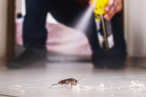 Best Best Pest Control Companies  in Hazel Dell, WA