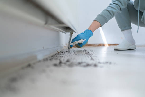 Best Best Pest Control Companies  in Hazel Dell, WA